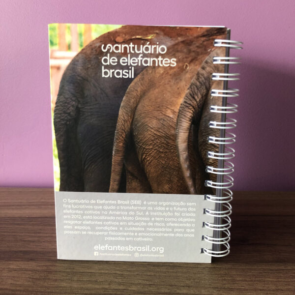 Agenda SEB costas