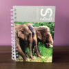 Agenda Seb 2020