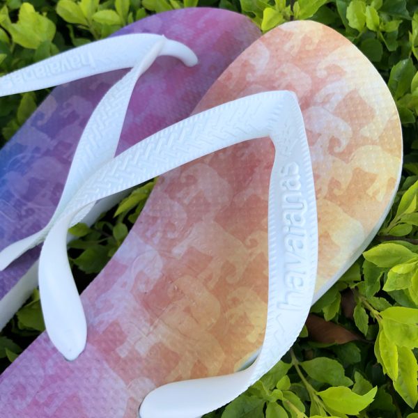 Havaianas True Colours