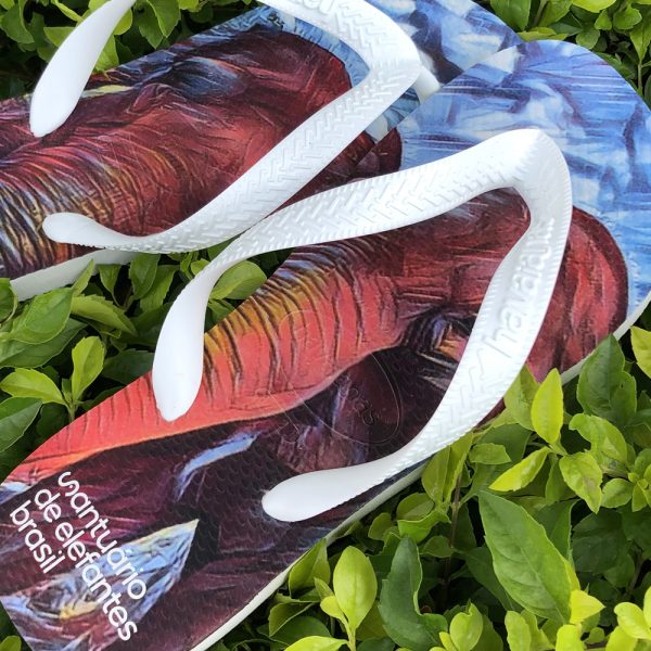 Havaianas Maia & Guida