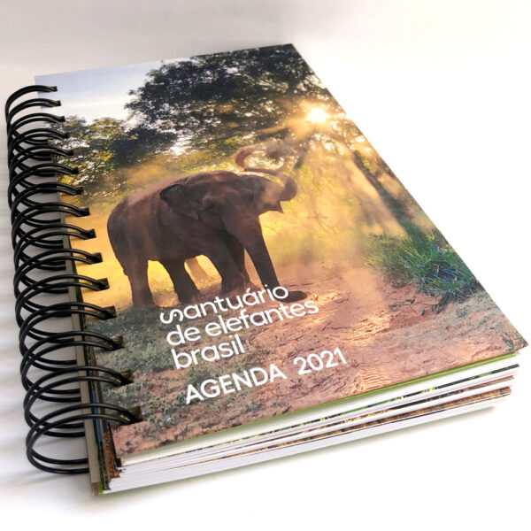 Agenda SEB 2021