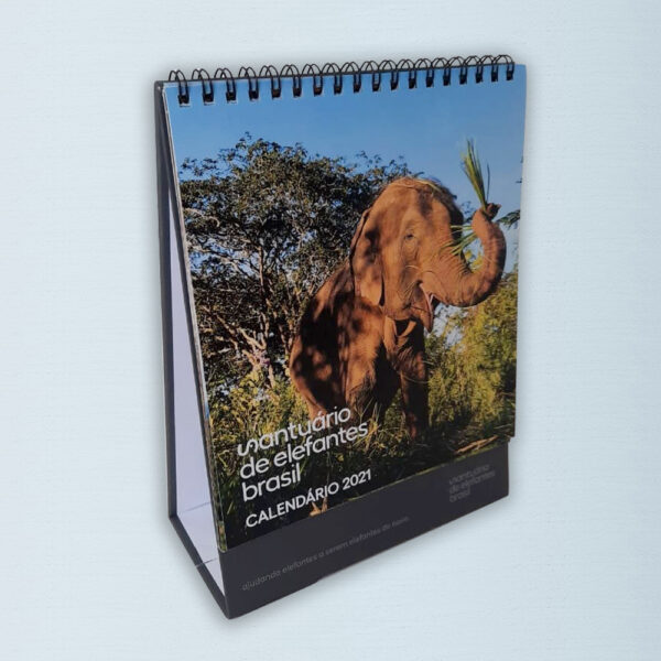 Calendário Mesa SEB 2021