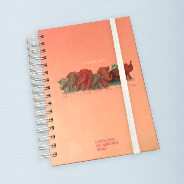 Planner SEB 2021