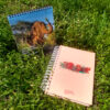 Combo Planner + Calendário de Mesa SEB 2021