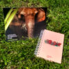 Combo Planner + Calendário de Parede